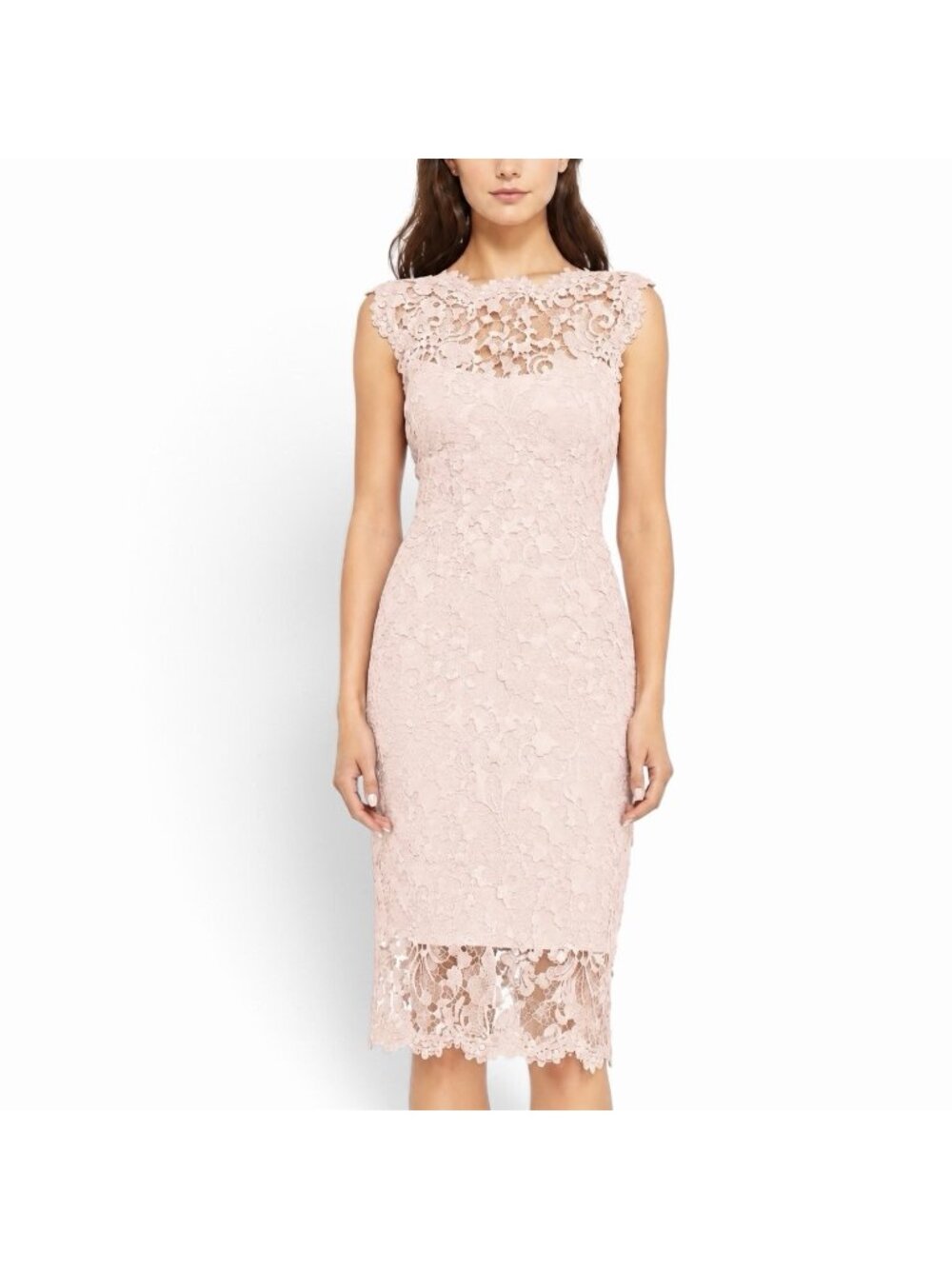 Tadashi Shoji Olena Sheath Dress Size 4 Lace Overlay Primrose Blush Illusion